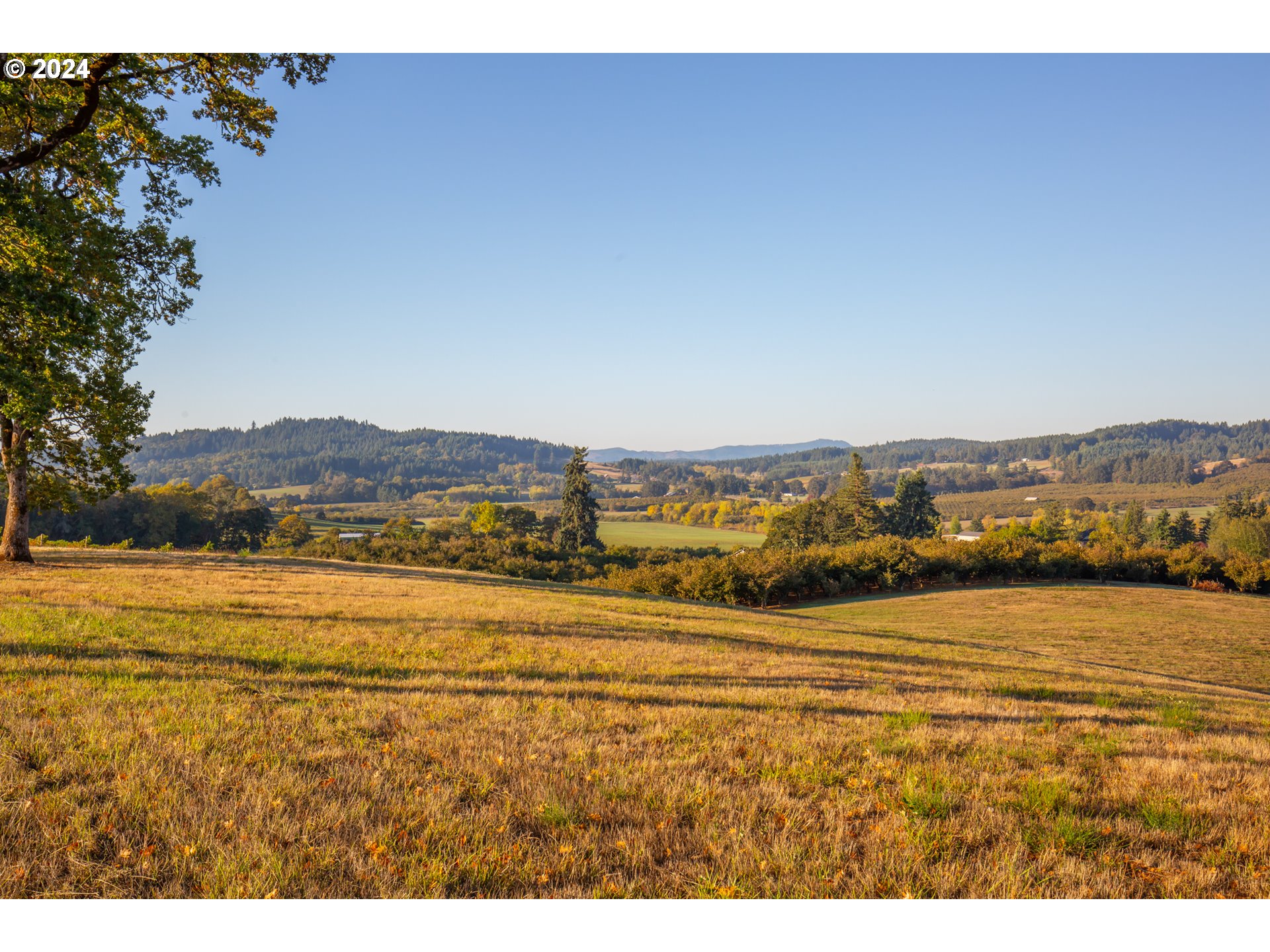 26413 Franklin Road Junction City, OR 97448 - Photo 4 of 44 a view of an ocean