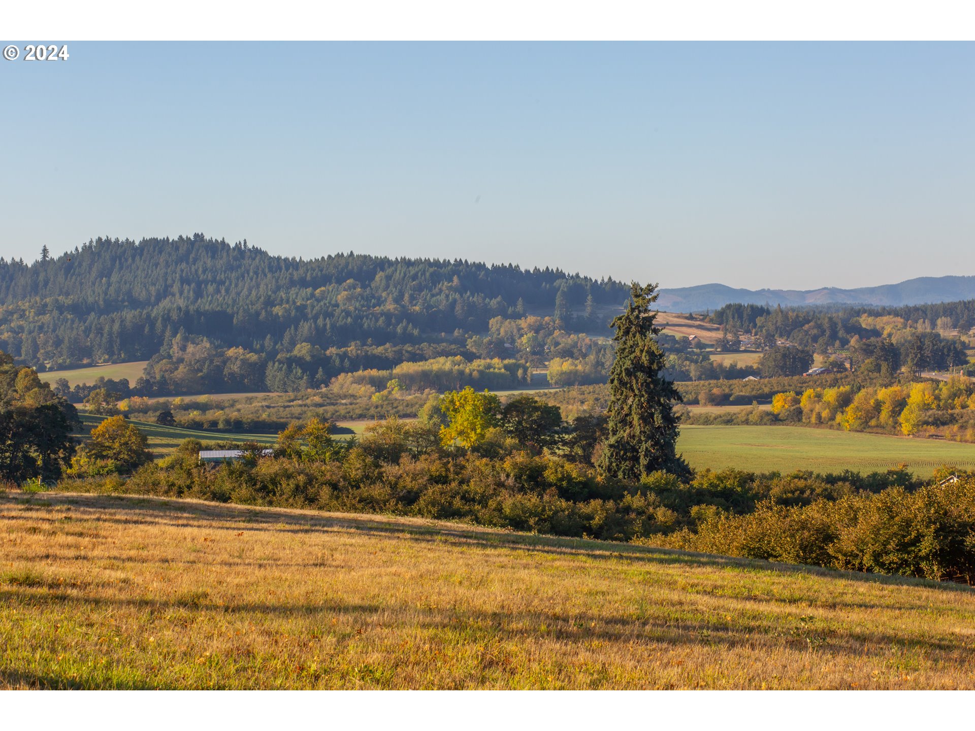 26413 Franklin Road Junction City, OR 97448 - Photo 44 of 44 a view of an ocean