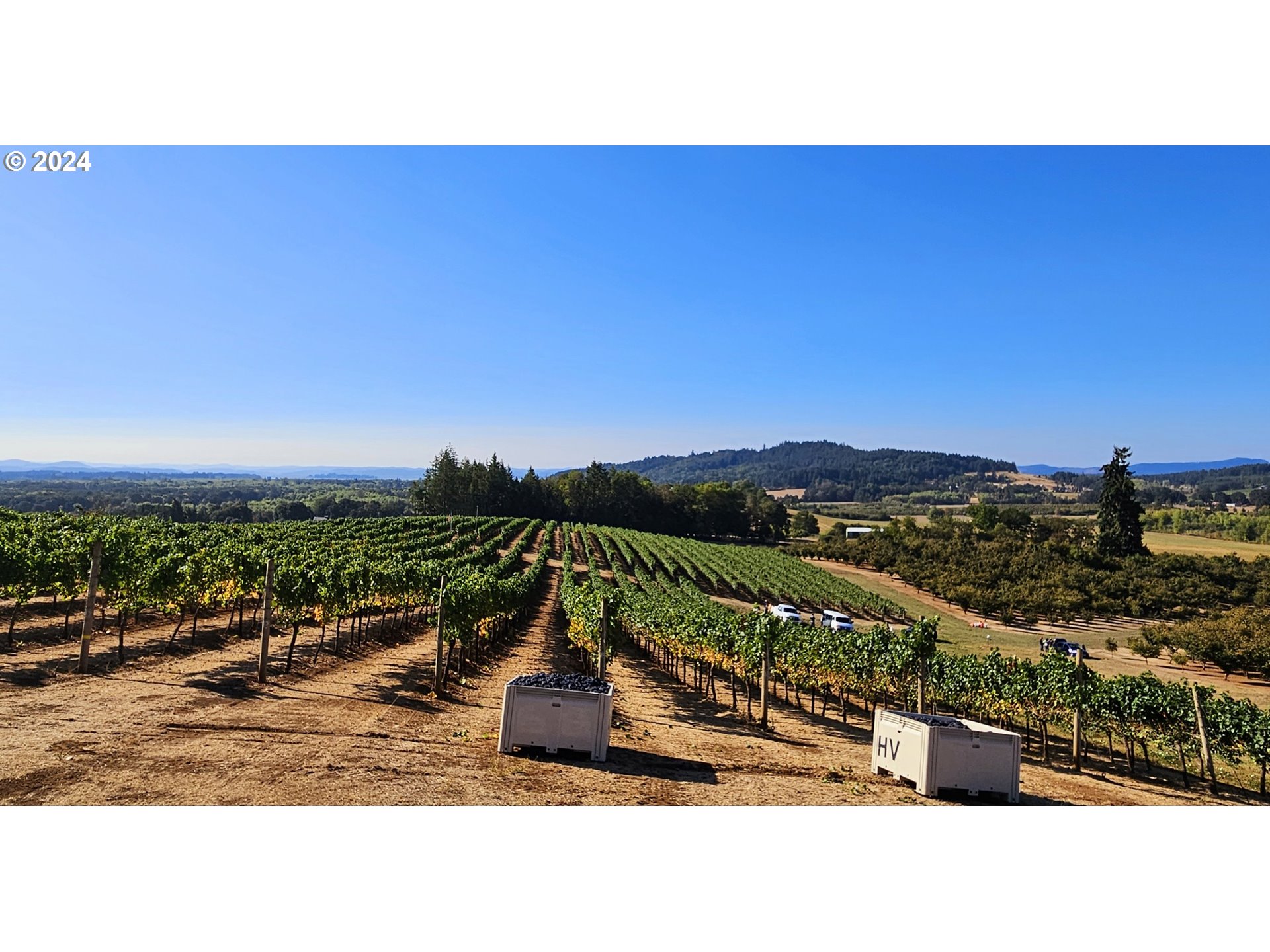 26413 Franklin Road Junction City, OR 97448 - Photo 5 of 44 a black and white photo of a city