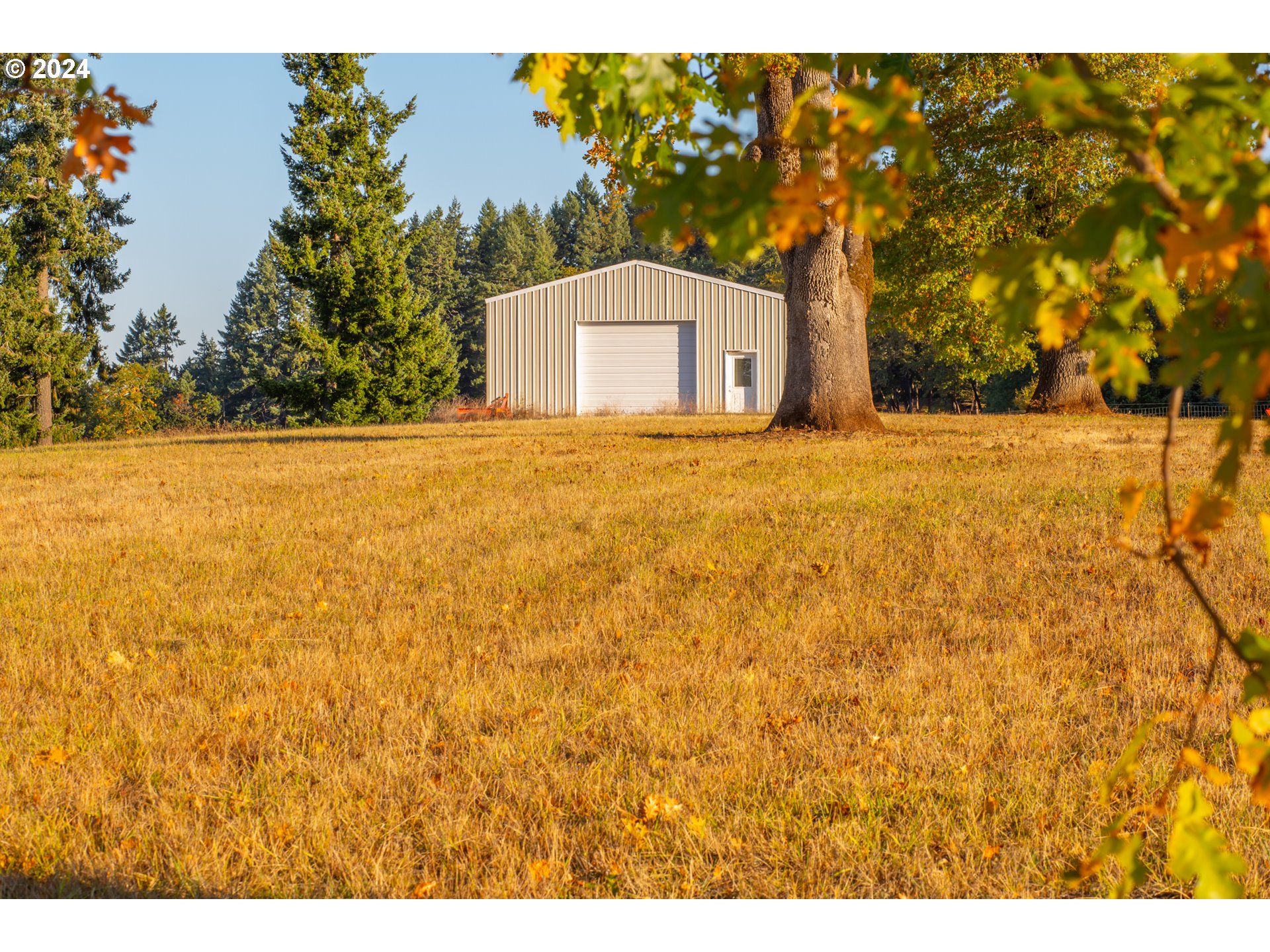 26413 Franklin Road Junction City, OR 97448 - Photo 6 of 44 a view of outdoor space and yard