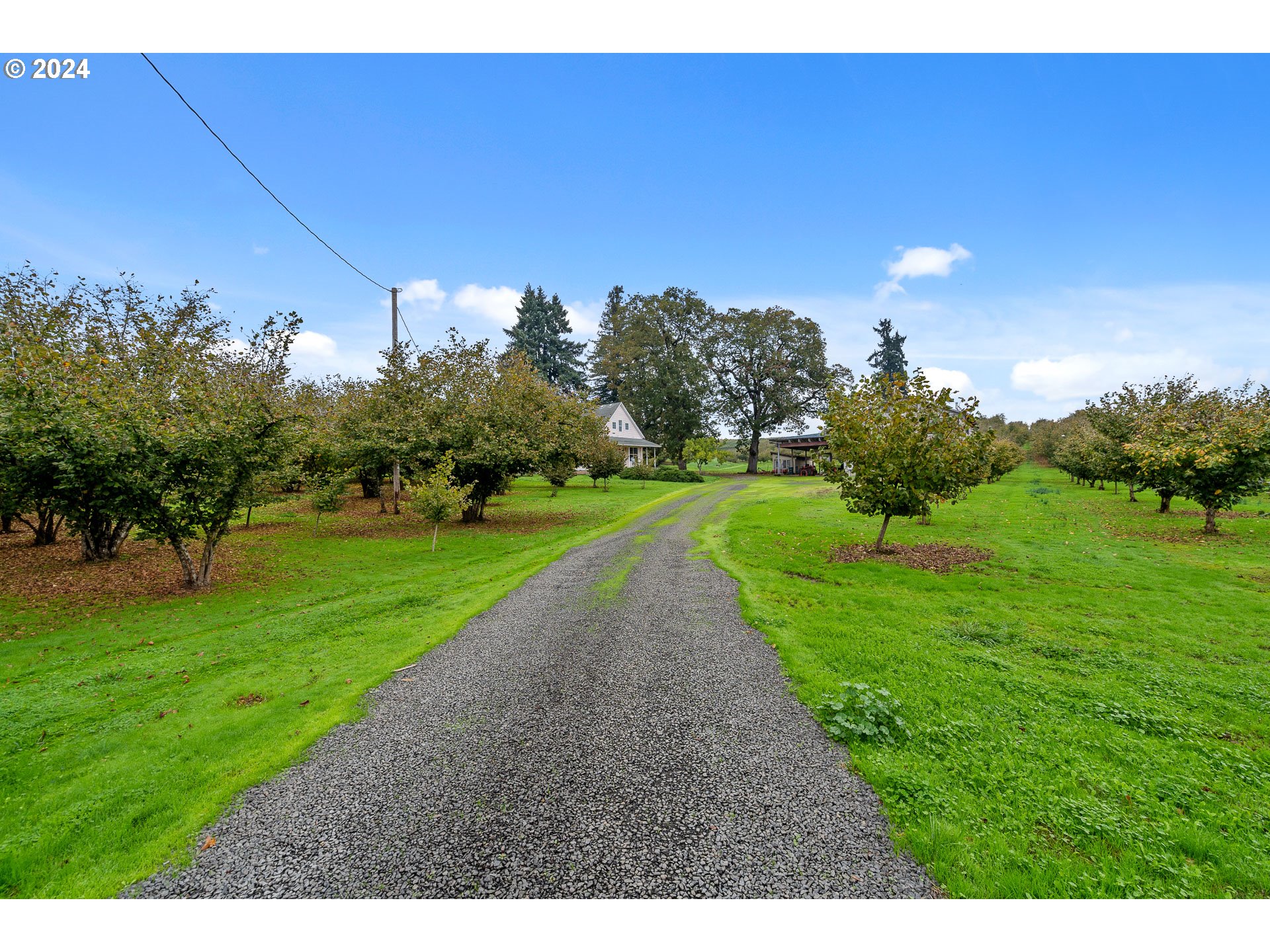26413 Franklin Road Junction City, OR 97448 - Photo 8 of 44 a view of a golf course with a garden