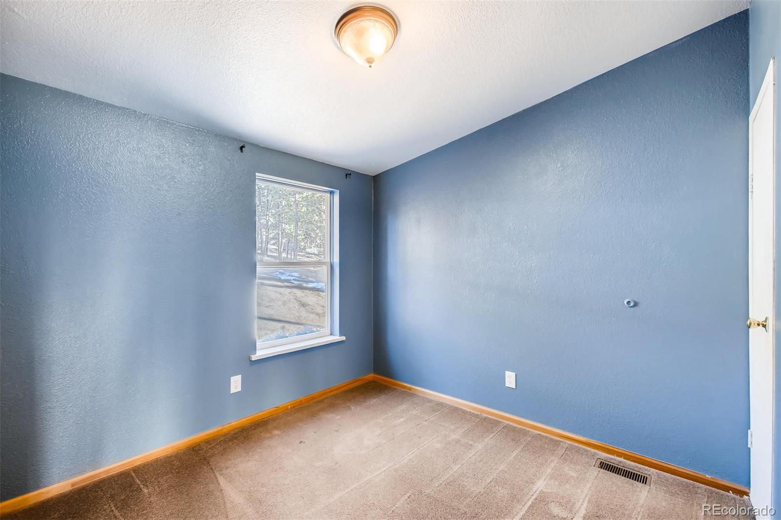 235 Spring Valley Bailey, CO 80421 - Photo 12 of 26 Gallery Image 12