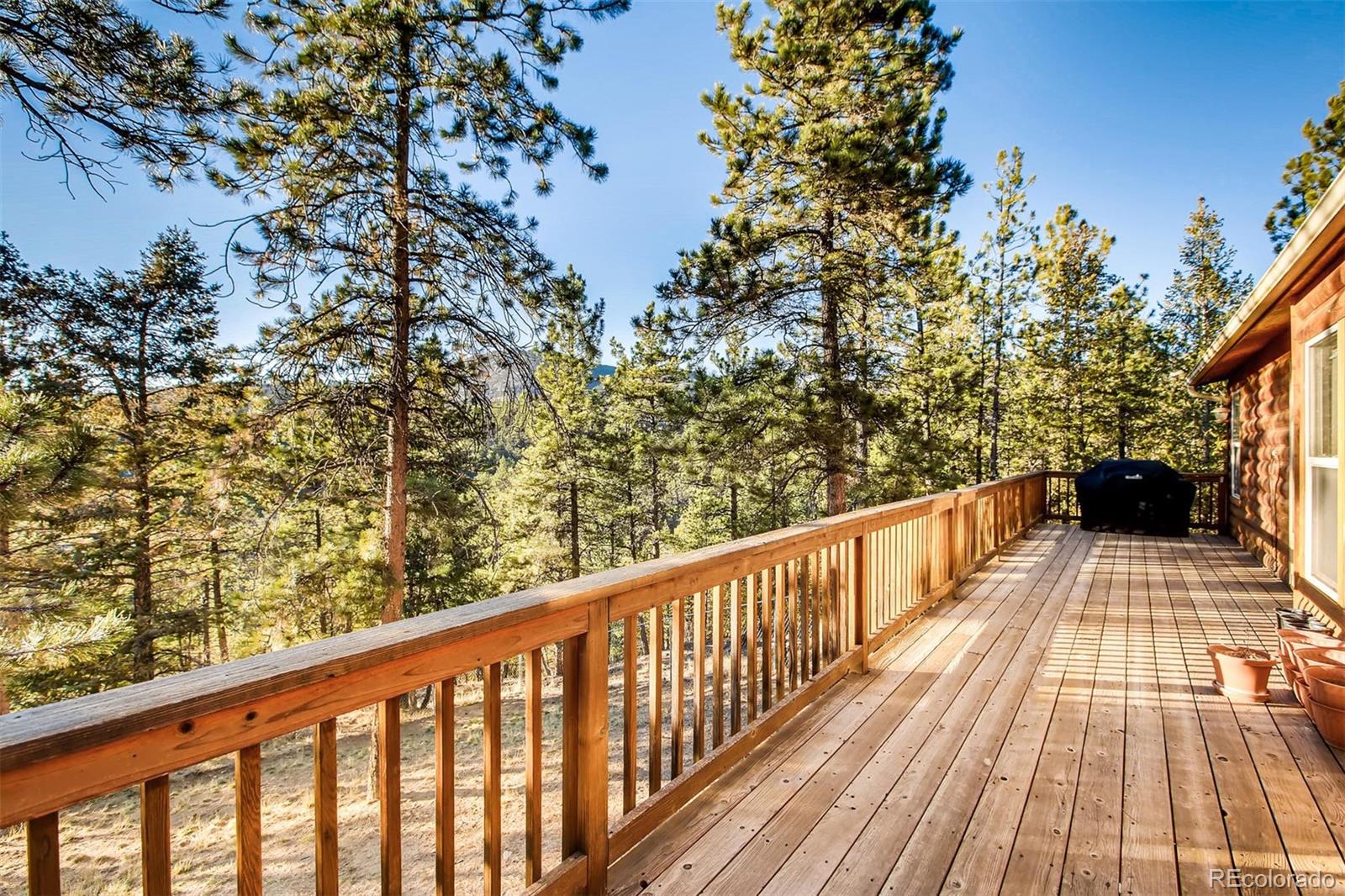 235 Spring Valley Bailey, CO 80421 - Photo 20 of 26 Gallery Image 20