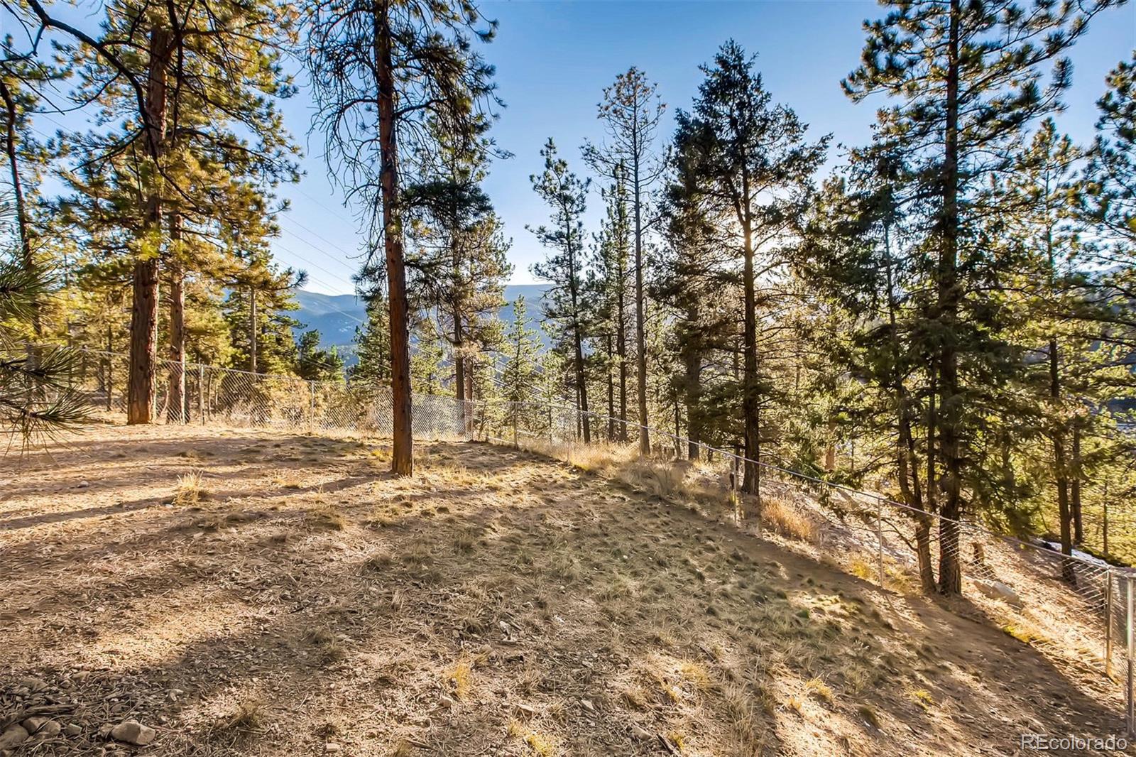 235 Spring Valley Bailey, CO 80421 - Photo 24 of 26 Gallery Image 24
