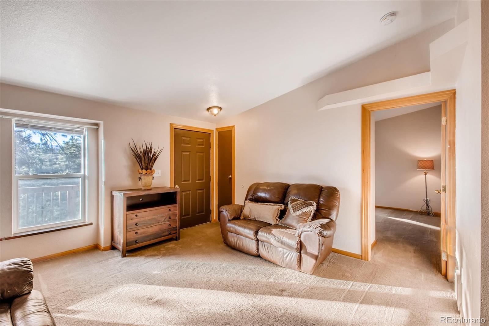 235 Spring Valley Bailey, CO 80421 - Photo 4 of 26 Gallery Image 4