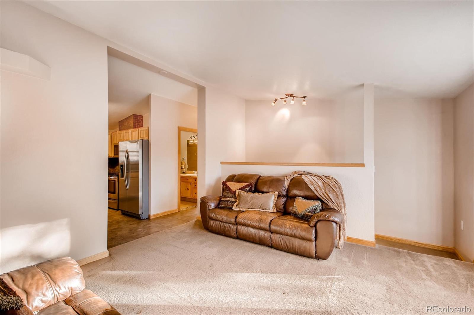 235 Spring Valley Bailey, CO 80421 - Photo 5 of 26 Gallery Image 5