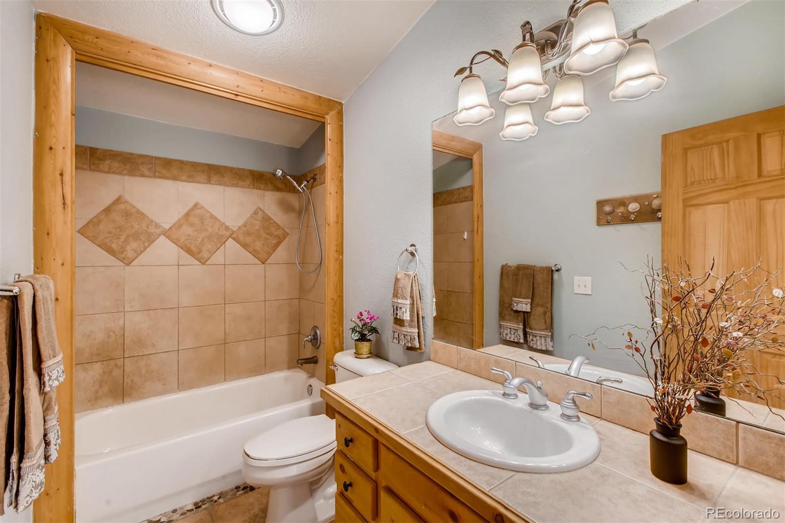 235 Spring Valley Bailey, CO 80421 - Photo 10 of 26 Gallery Image 10
