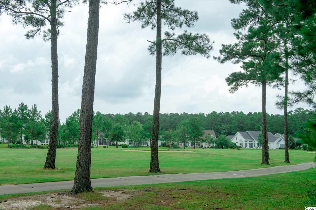 246 Pickering Drive Murrells Inlet, SC 29576 - Photo 24 of 25 Gallery Image 24