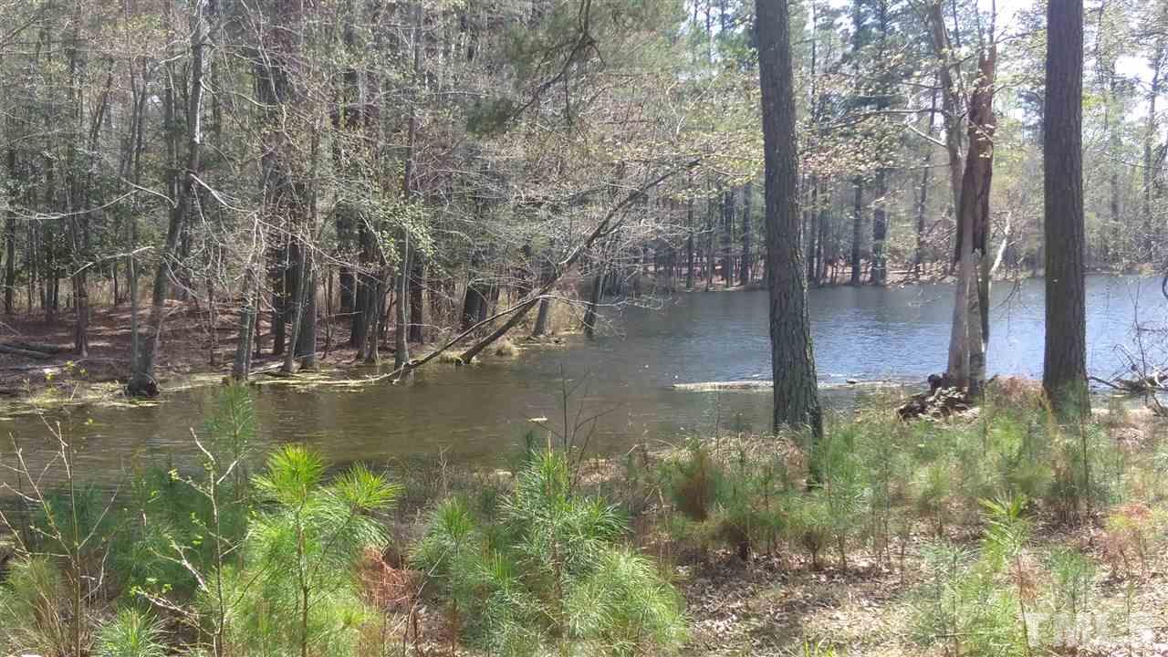 0 Perry Road Zebulon, NC 27597 - Photo 3 of 3 Gallery Image 3