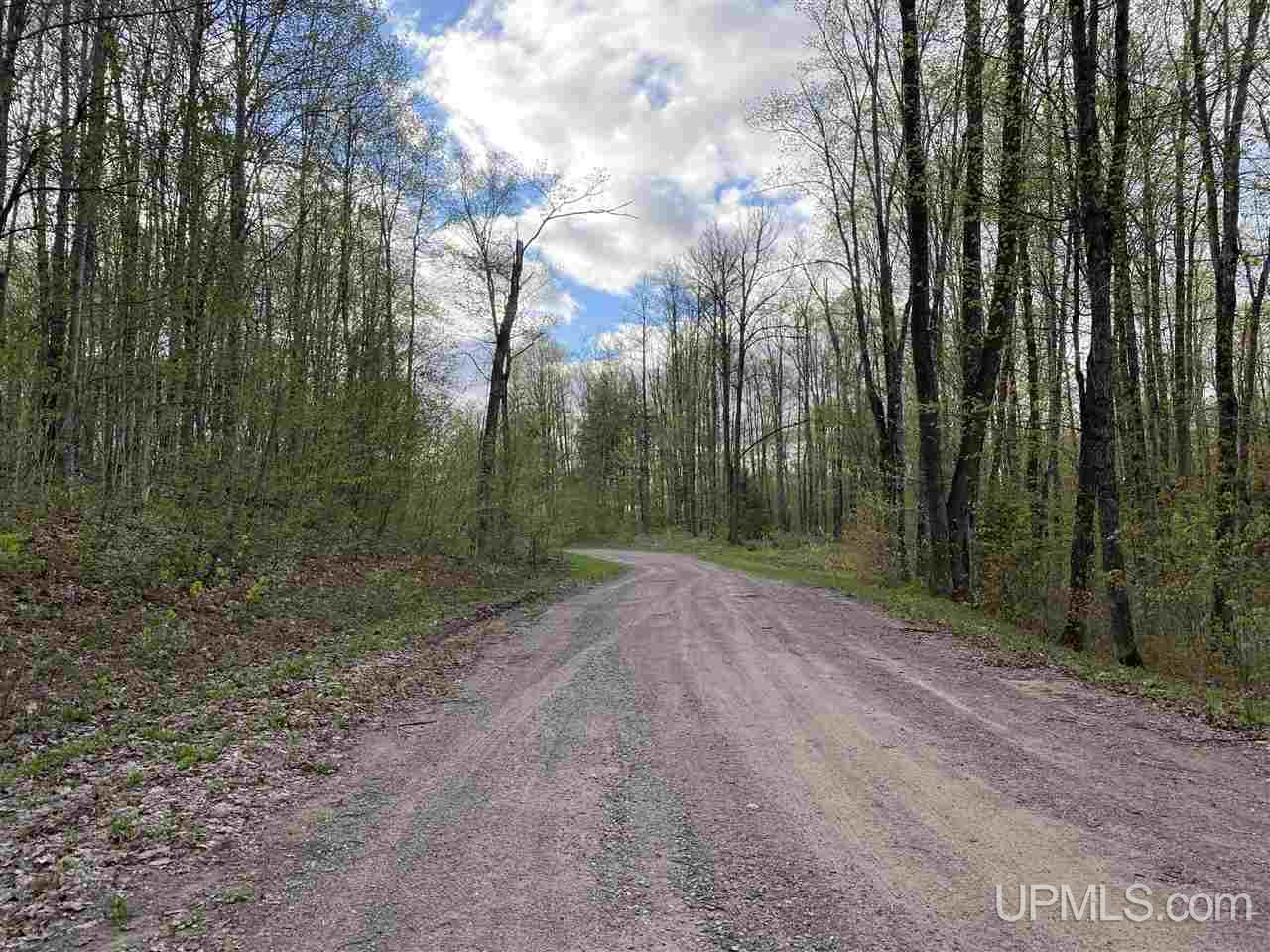 On On Chaney Cove Road, Unit LOT 1 Bessemer, MI 49911 - Photo 19 of 28