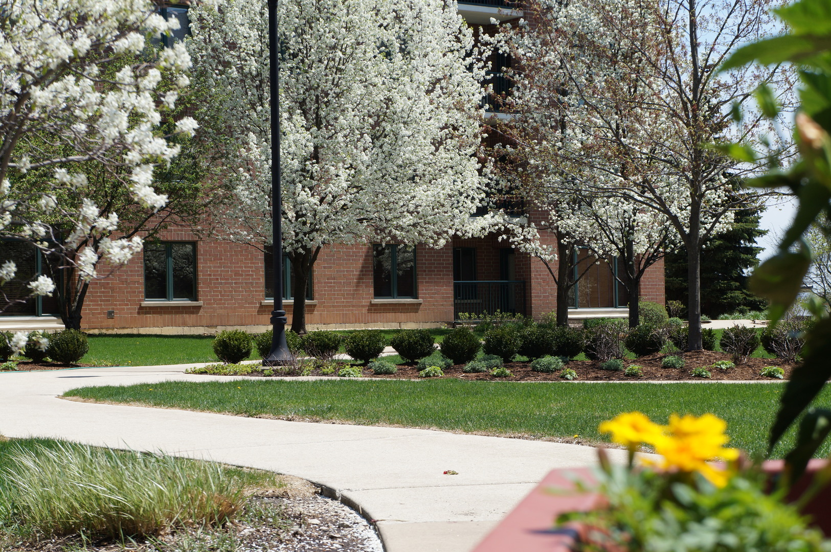 875 East 22nd Street, Unit 112 Lombard, IL 60148 - Photo 3 of 28