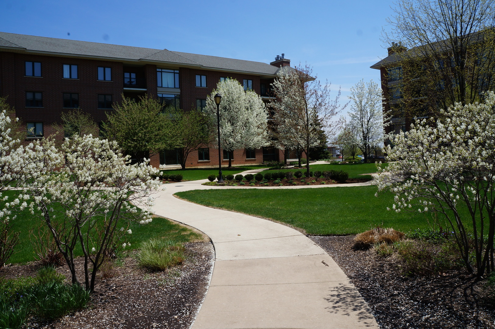 875 East 22nd Street, Unit 112 Lombard, IL 60148 - Photo 4 of 28