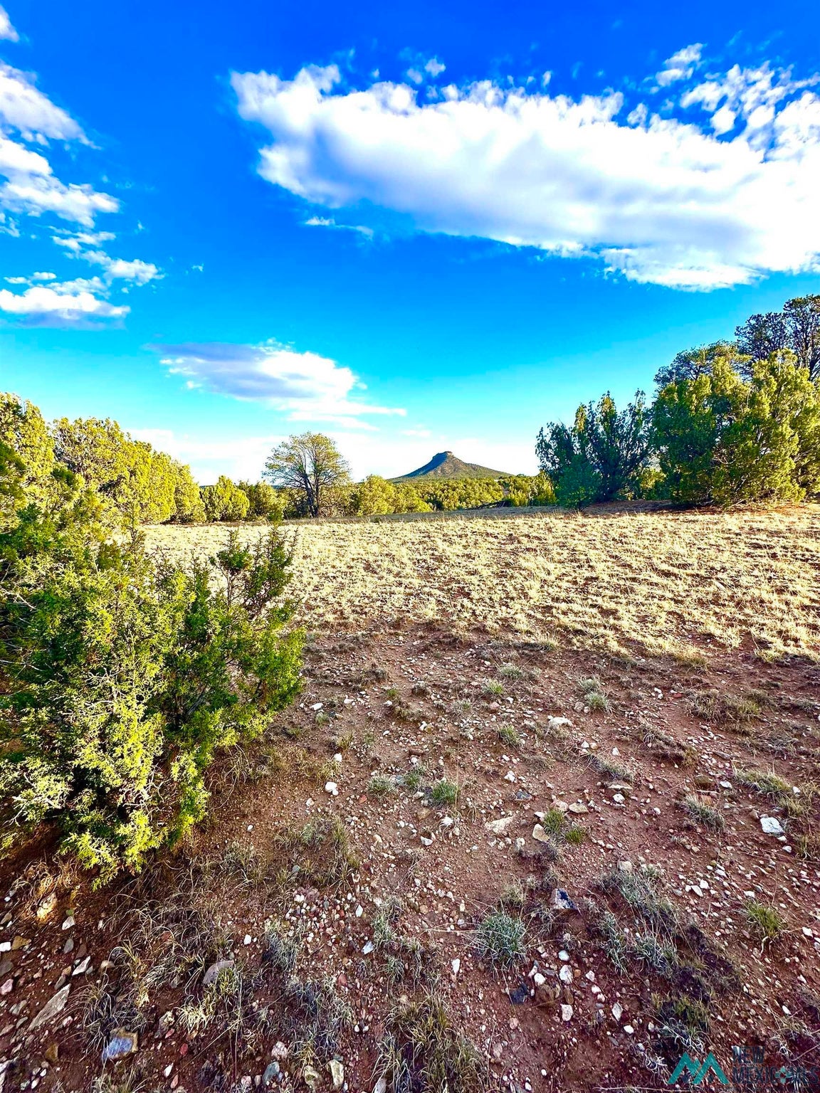 0 West Sena Ranch Road Serafina, NM 87569 - Photo 11 of 26 Gallery Image 11