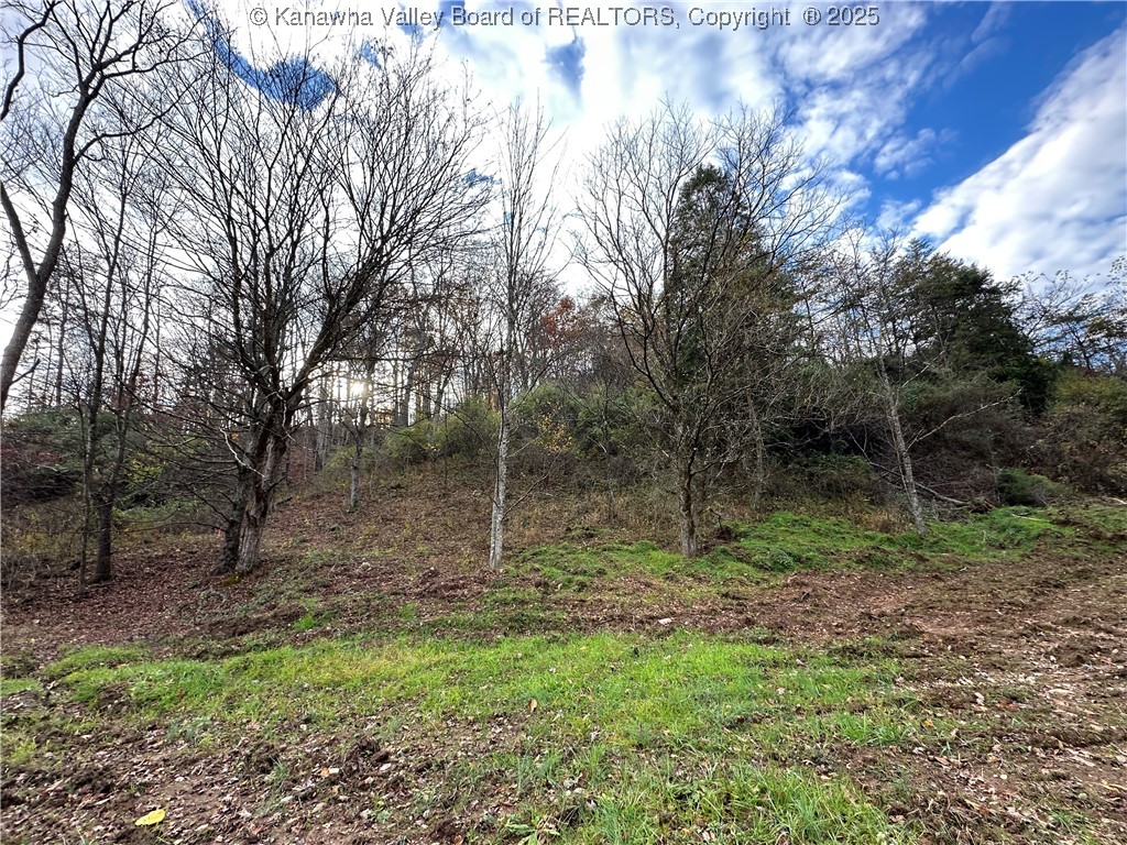 621 3 Mile Road Brohard, WV 26138 - Photo 45 of 48 Gallery Image 45