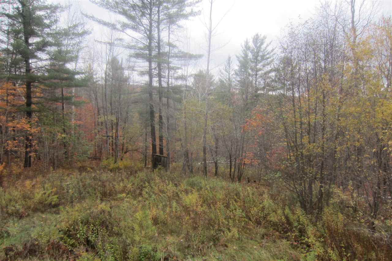 201 Alger Brook Road Strafford, VT 05070 - Photo 5 of 6