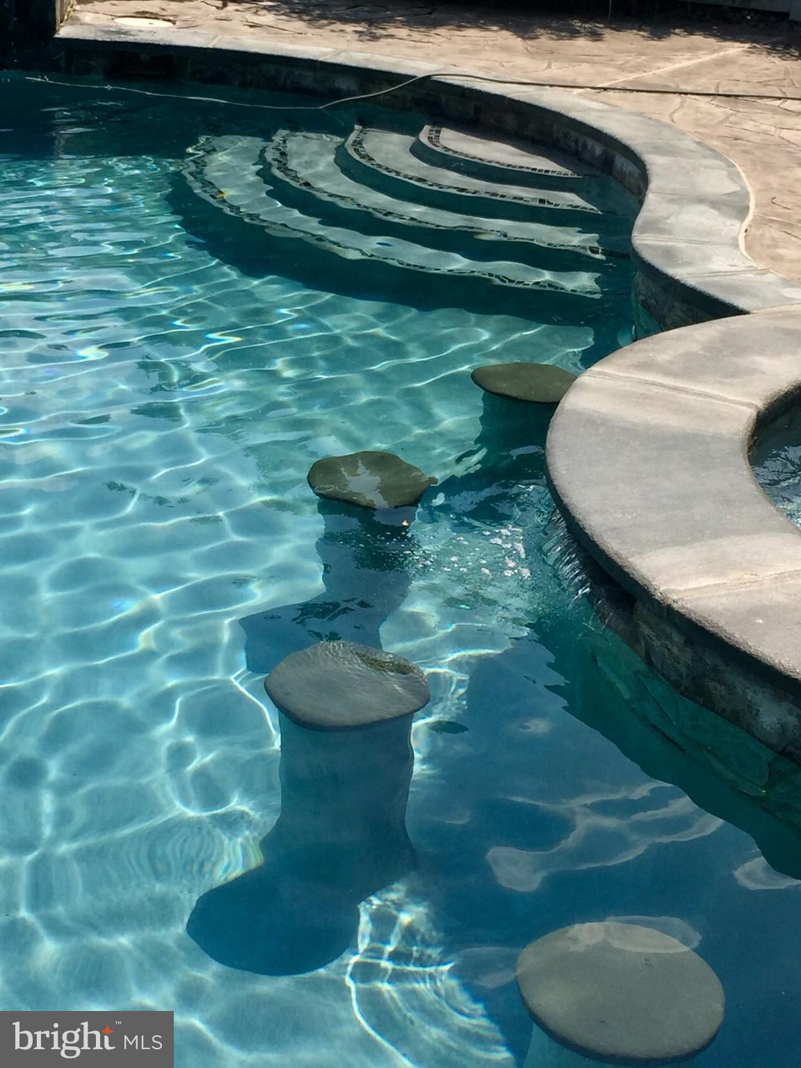 34 Boyle Court Rising Sun, MD 21911 - Photo 19 of 20 Pool Interior