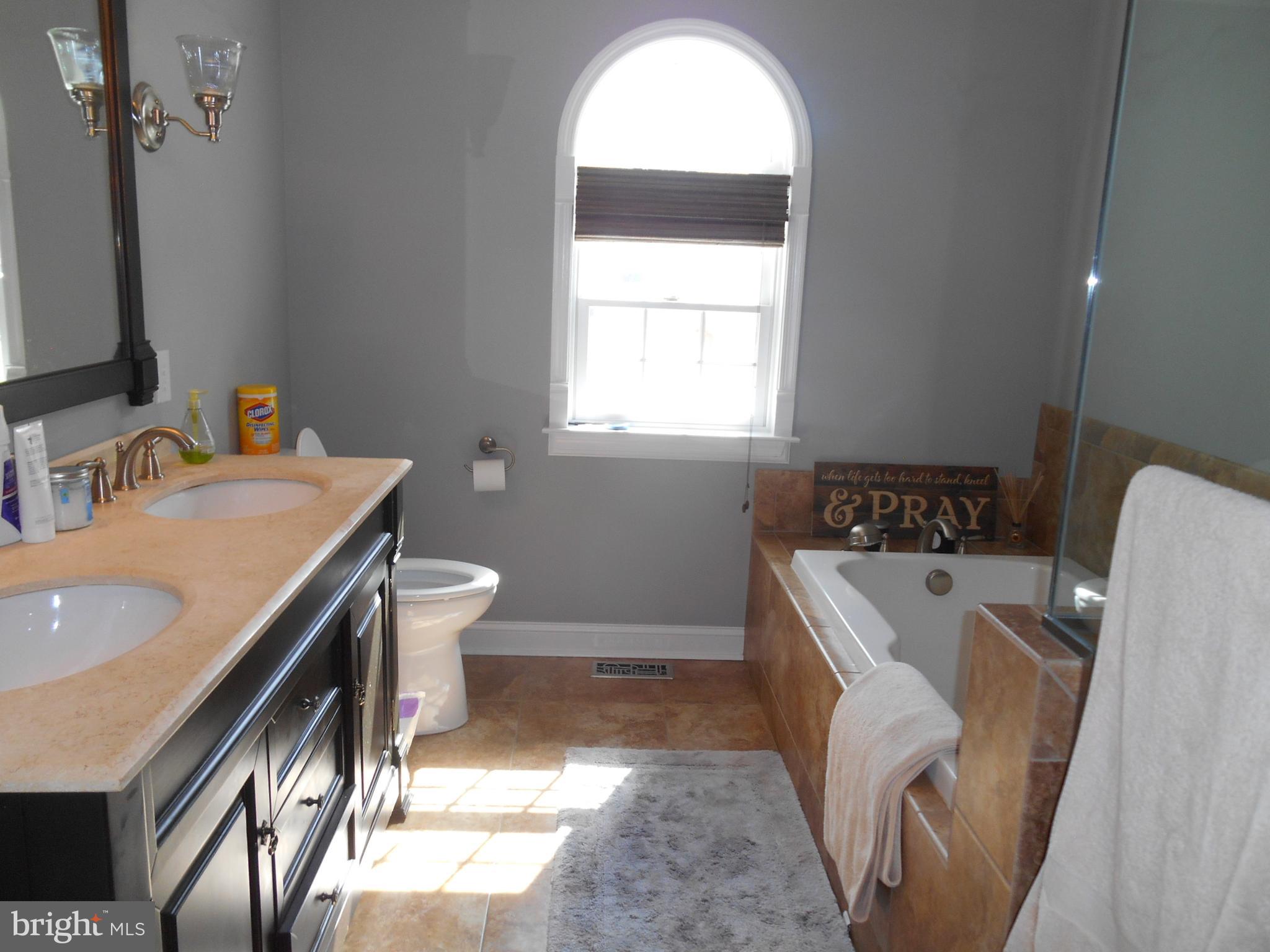 34 Boyle Court Rising Sun, MD 21911 - Photo 6 of 20 Master Bath View l