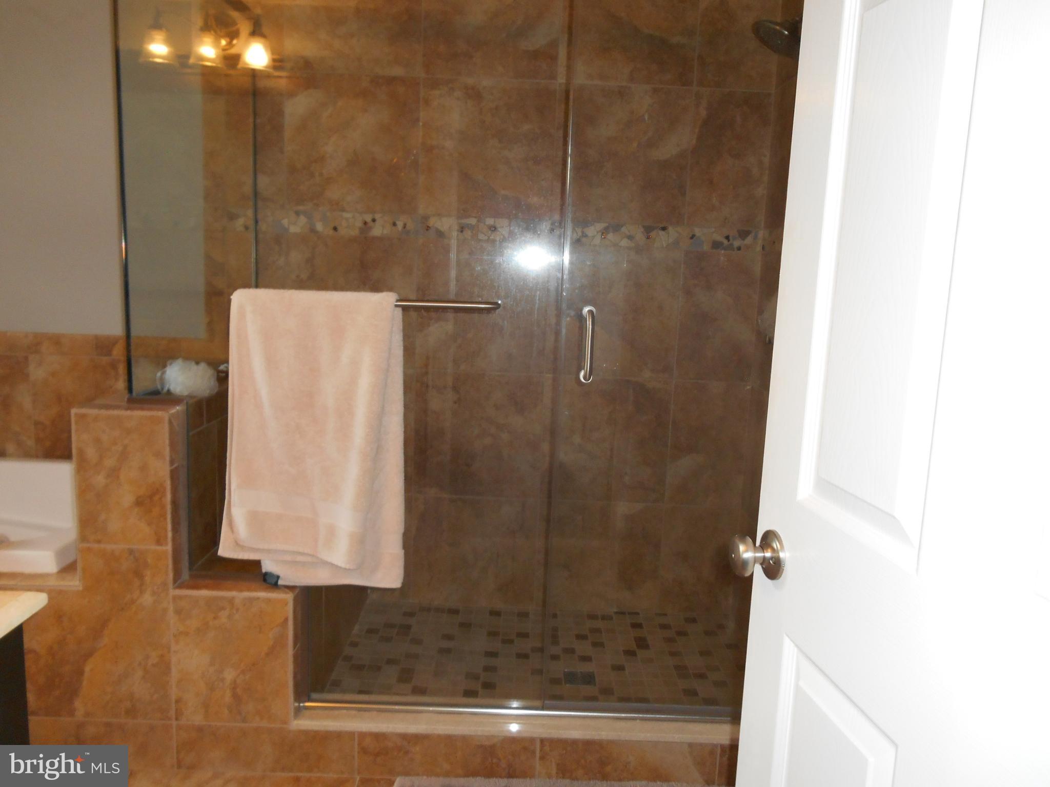 34 Boyle Court Rising Sun, MD 21911 - Photo 7 of 20 Master Bath View ll