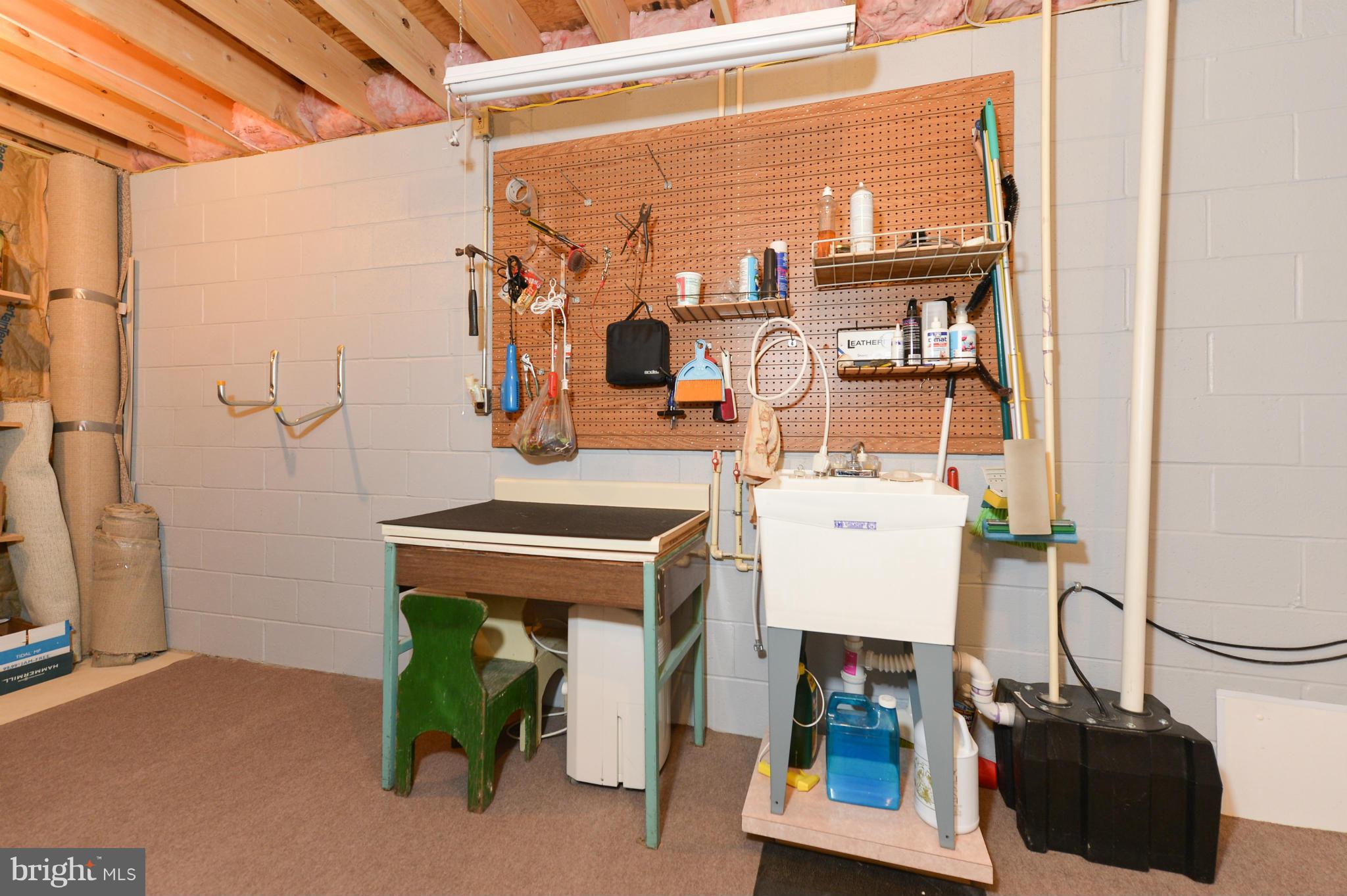 224 Mount Street Rising Sun, MD 21911 - Photo 21 of 30 Interior (General)