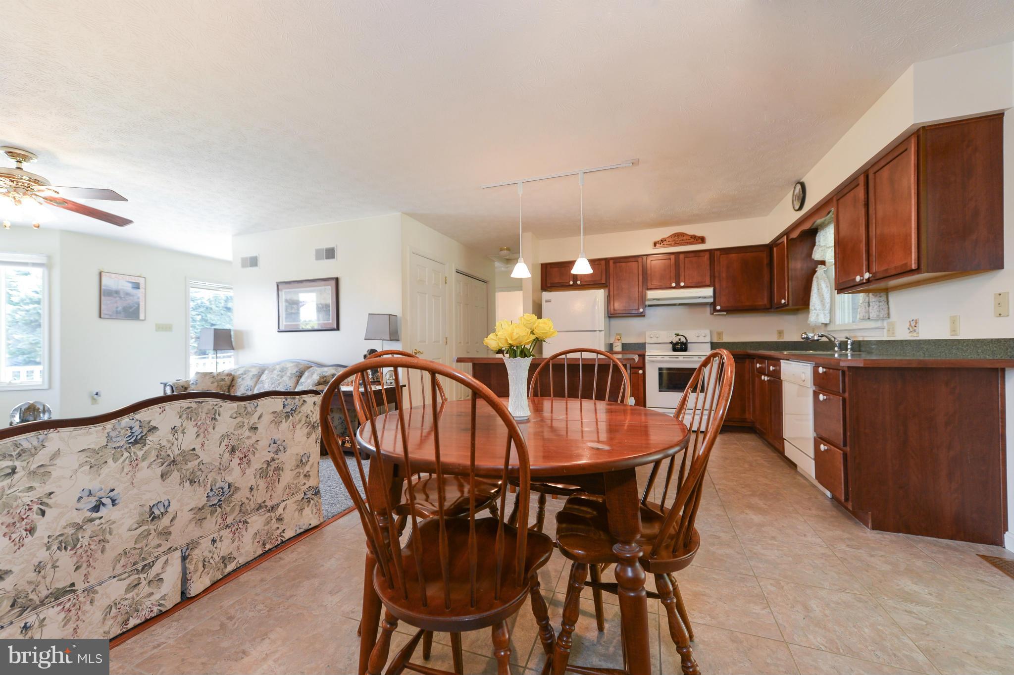 224 Mount Street Rising Sun, MD 21911 - Photo 9 of 30 Kitchen