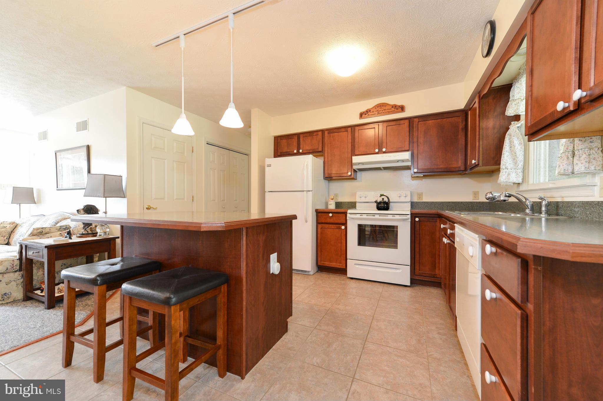 224 Mount Street Rising Sun, MD 21911 - Photo 10 of 30 Kitchen