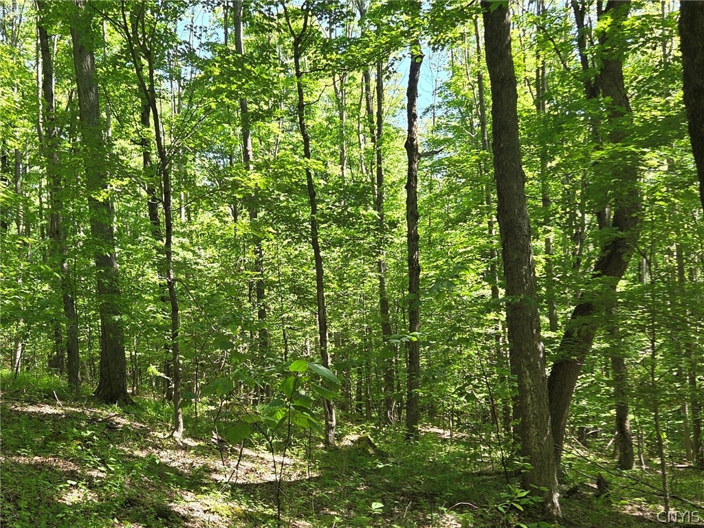 446 Nys Route Cuba, NY 14727 - Photo 43 of 47