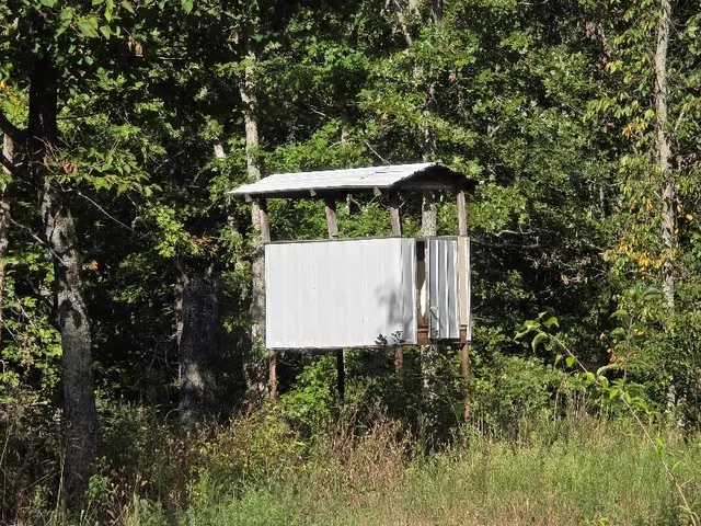 $490,000 | 875 Southwest 54th Highway, Osceola, MO 64776