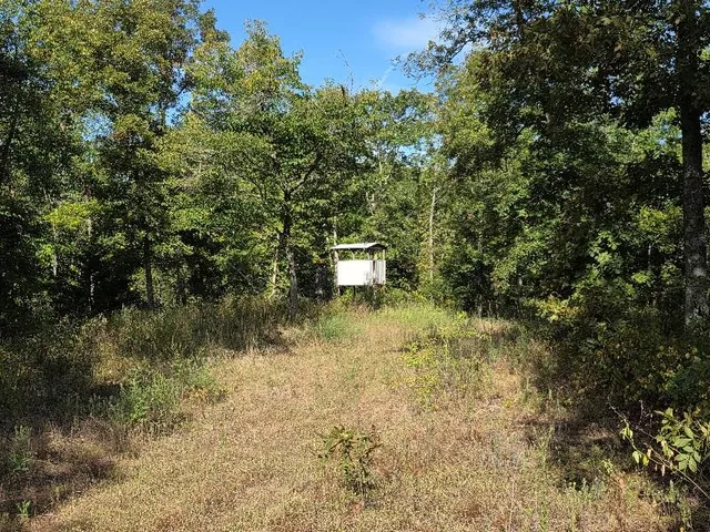 $490,000 | 875 Southwest 54th Highway, Osceola, MO 64776