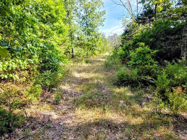 $490,000 | 875 Southwest 54th Highway, Osceola, MO 64776