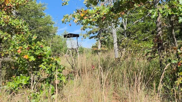 $490,000 | 875 Southwest 54th Highway, Osceola, MO 64776