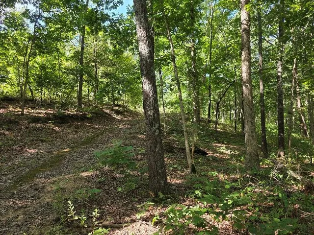 $490,000 | 875 Southwest 54th Highway, Osceola, MO 64776