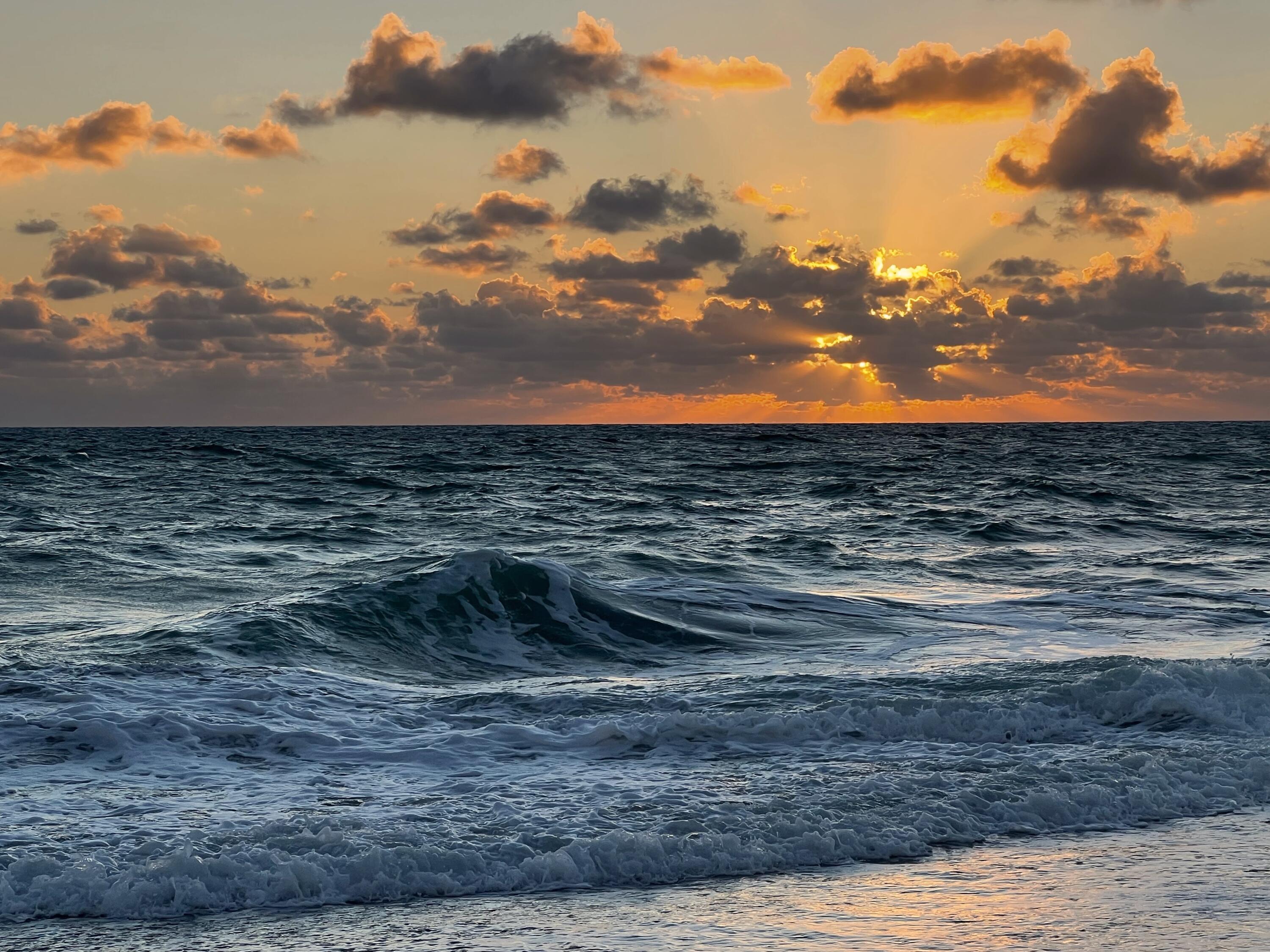 80 Celestial Way, Unit 213 Juno Beach, FL 33408 - Photo 8 of 59 Juno Beach Sunrise