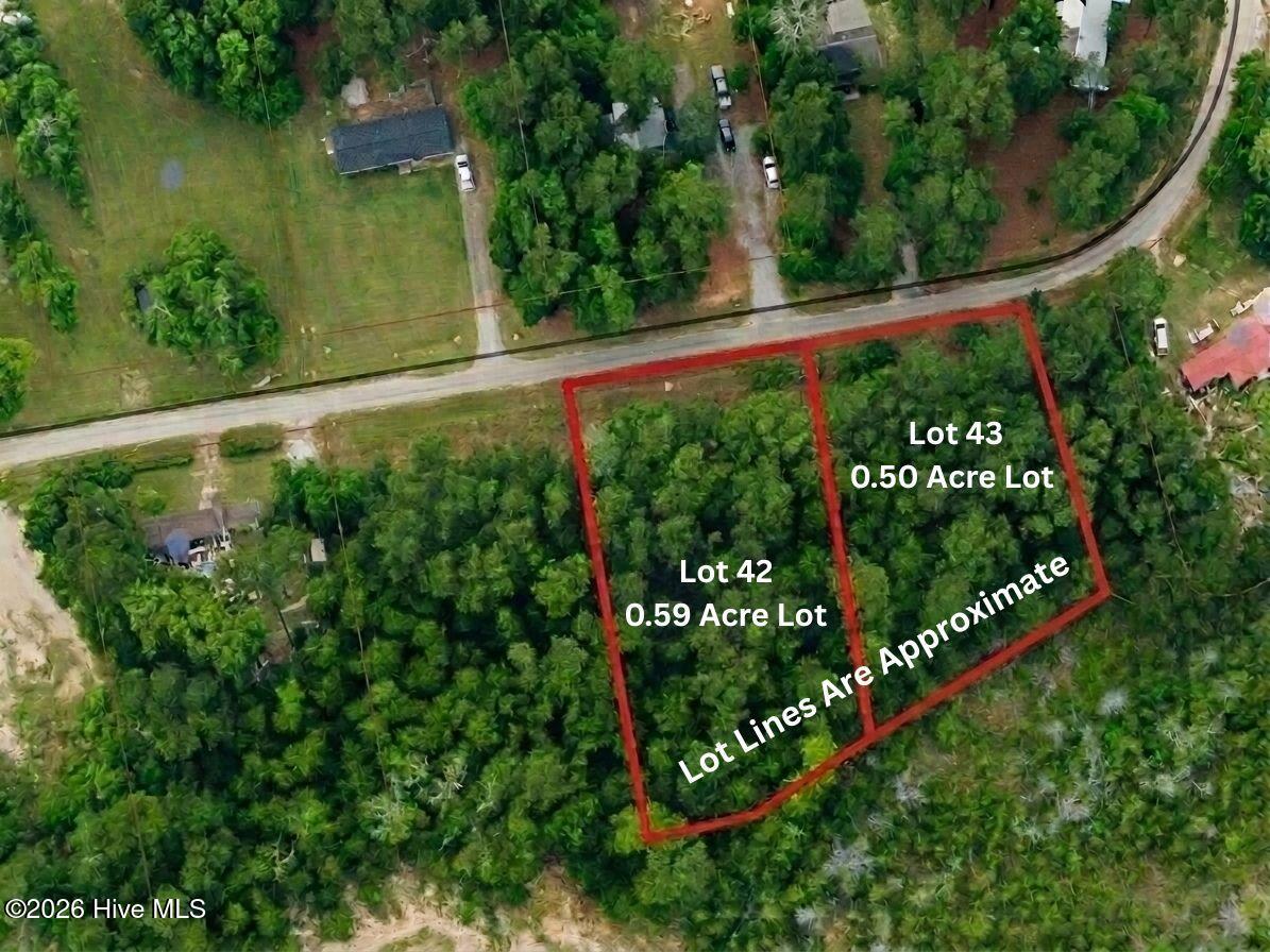 42 Pond View Lane Hampstead, NC 28443 - Photo 2 of 6 Lot 42 & 43 Aerial