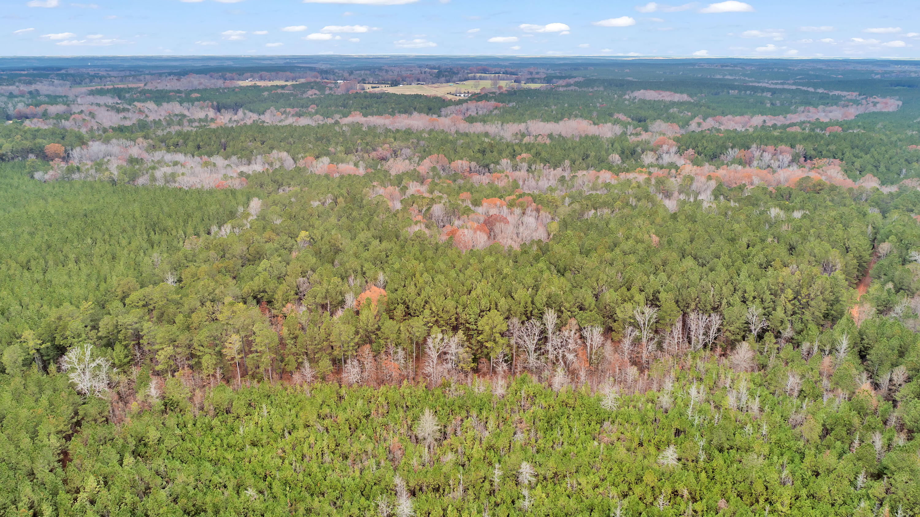 Lot 8 Saggus Road Washington, GA 30673 - Photo 23 of 42 Saggus Rd land 121-007A, 400ft View, Dro