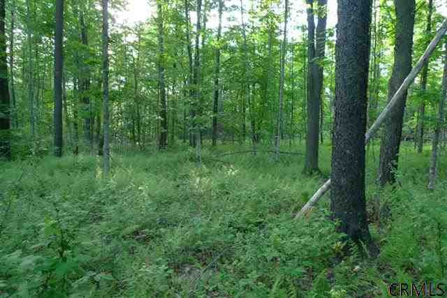 Hall Road Worcester, NY 12197 - Photo 1 of 3 Photo 1