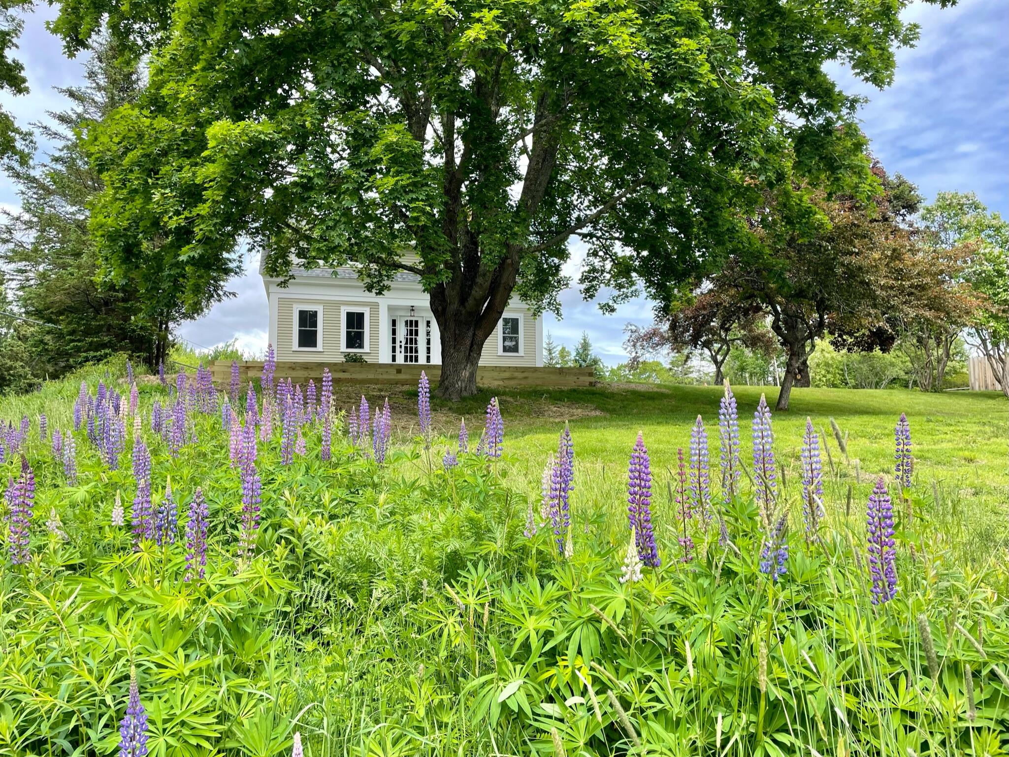 778 North Sedgwick Road Sedgwick, ME 04676 - Photo 2 of 65 FE23A163-5B07-414E-AE51-AED1C8BFEA28