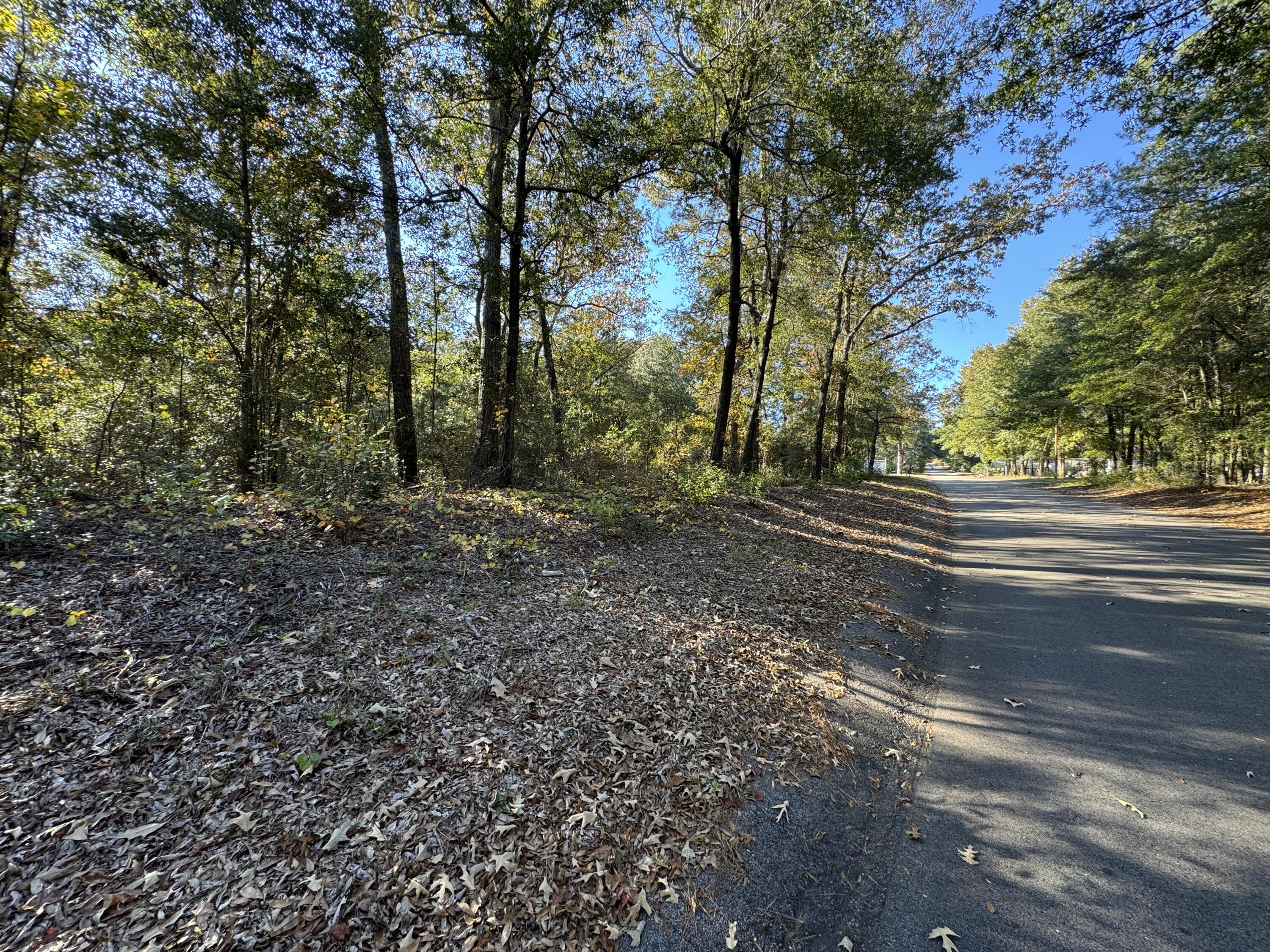 Lot #1 Charles Street Jackson, SC 29831 - Photo 6 of 12