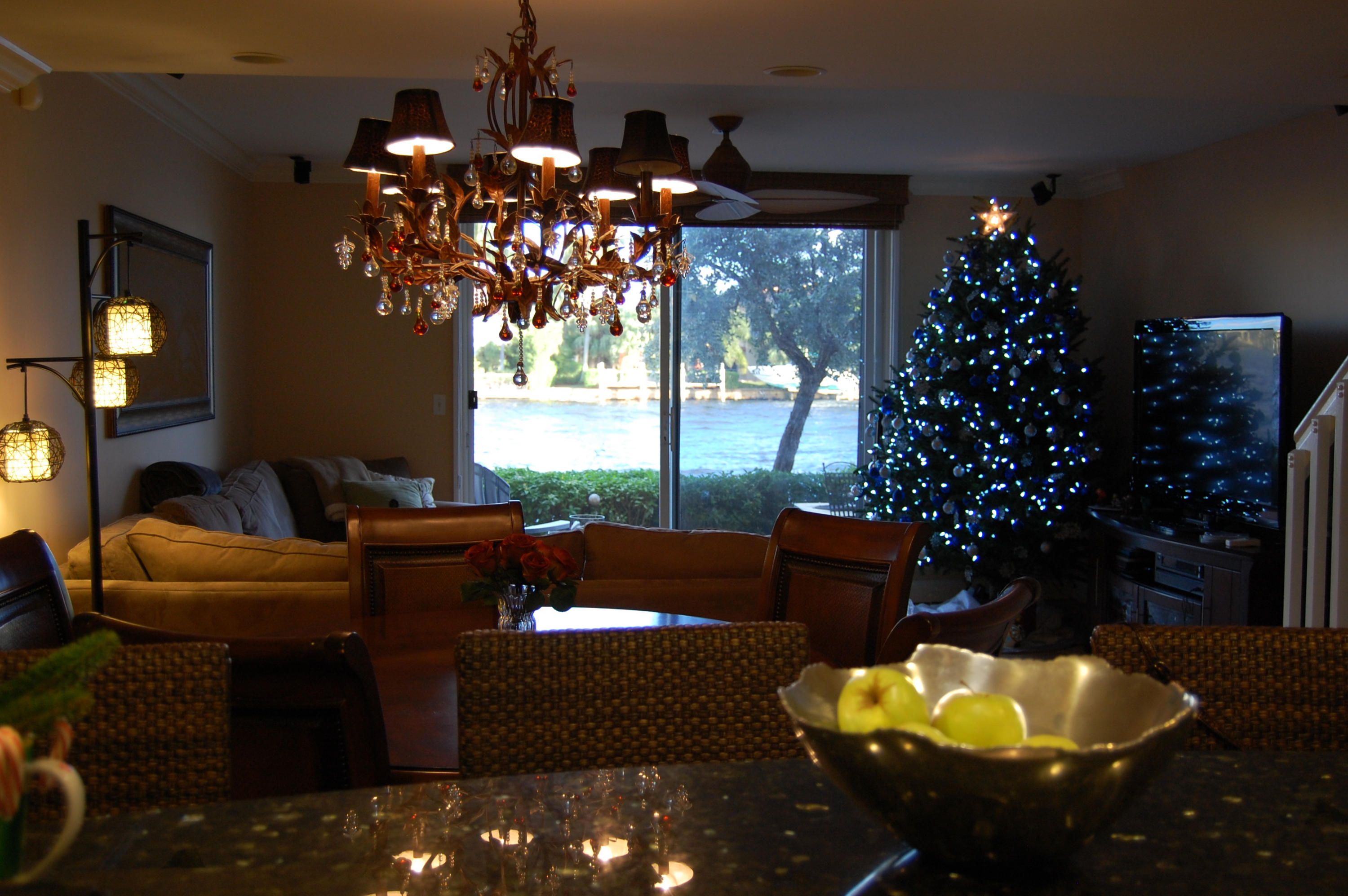 916 Jeffery Street Boca Raton, FL 33487 - Photo 31 of 48 DSC_0475
