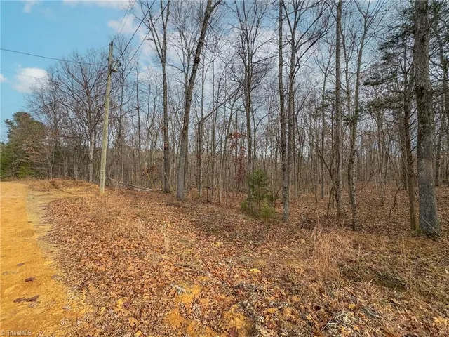 $12,000 | 6124 Wild Horse Canyon Road, Snow Camp, NC 27349