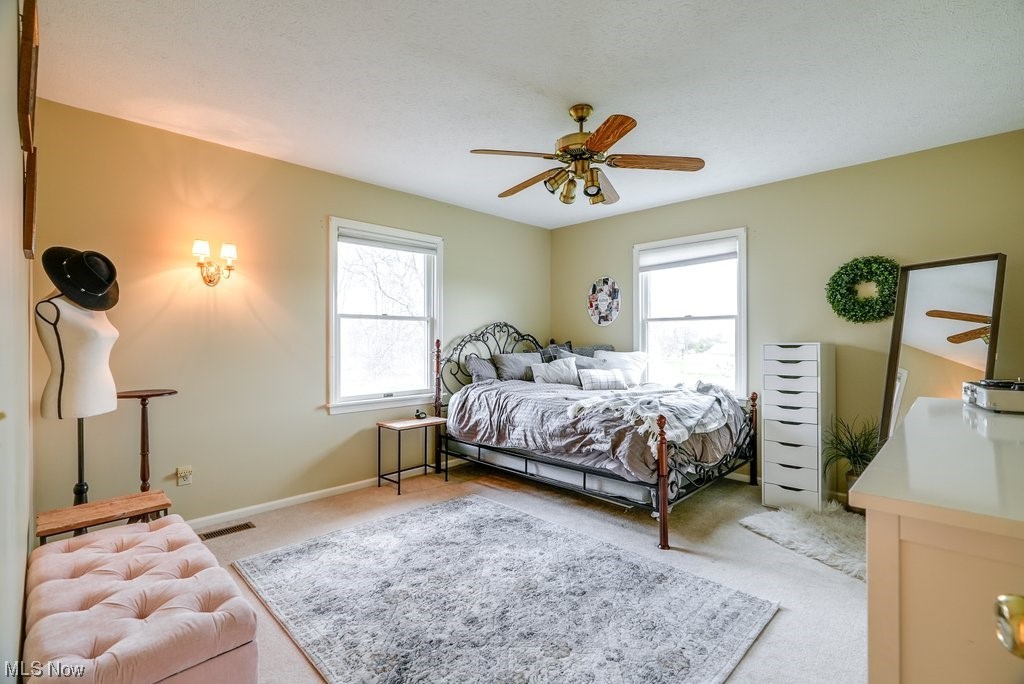 10305 Crow Road Litchfield, OH 44253 - Photo 16 of 30 Gallery Image 16