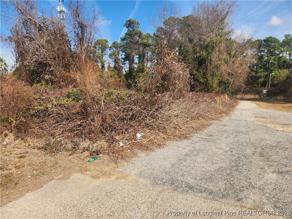 4438 Murchison Road Fayetteville, NC 28311 - Photo 3 of 6