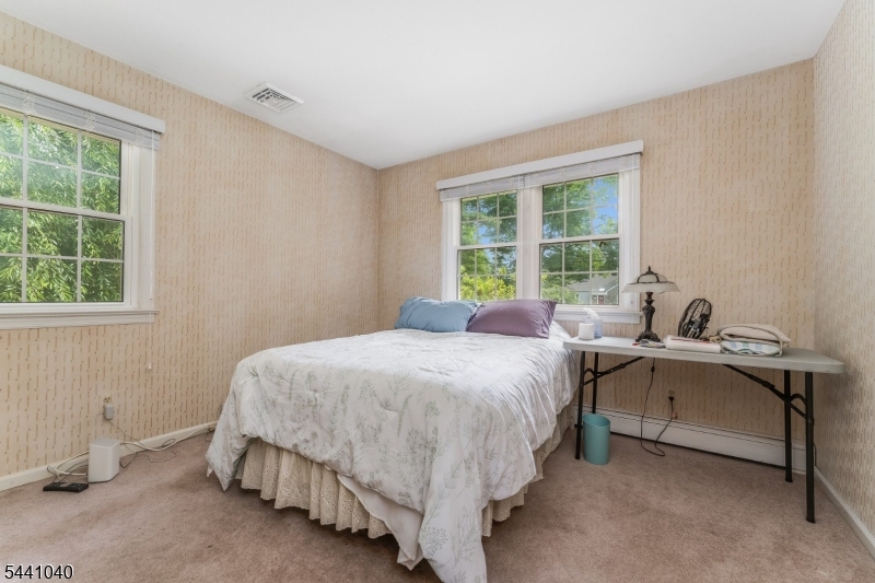 159 Old Clinton Road Flemington, NJ 08822 - Photo 18 of 50