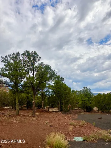 a view of a road with a yard in the background