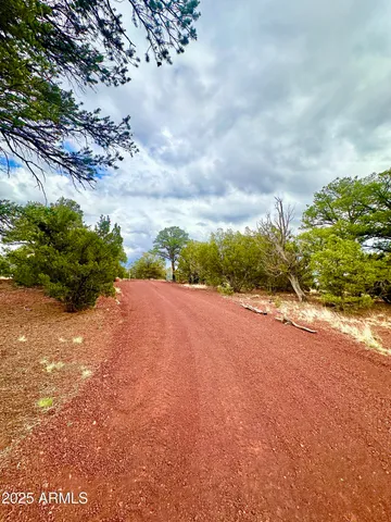 a view of a yard with flower plants and wooden fence