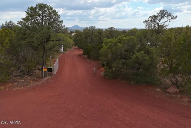 a view of a street with a trees in the background