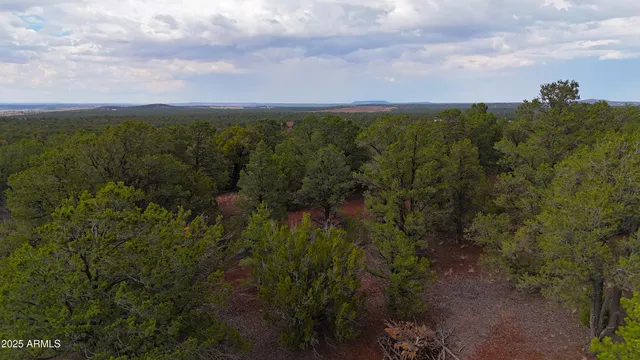 a view of a city with lush green forest