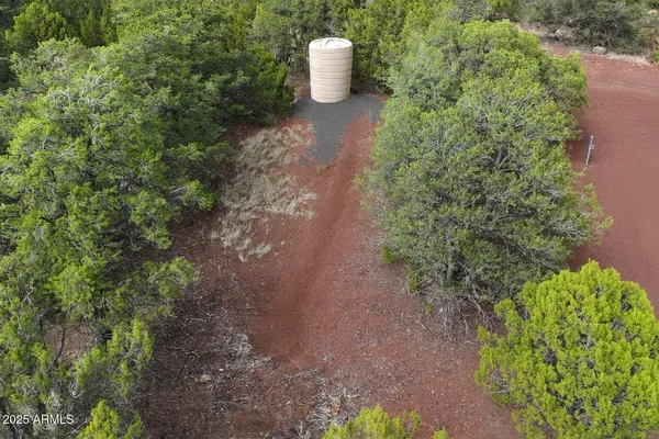 a view of a lot of plants and trees