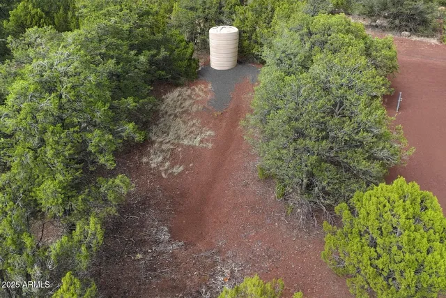 a view of a lot of plants and trees