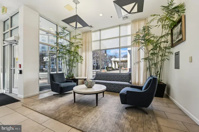 a living room with furniture and a potted plant