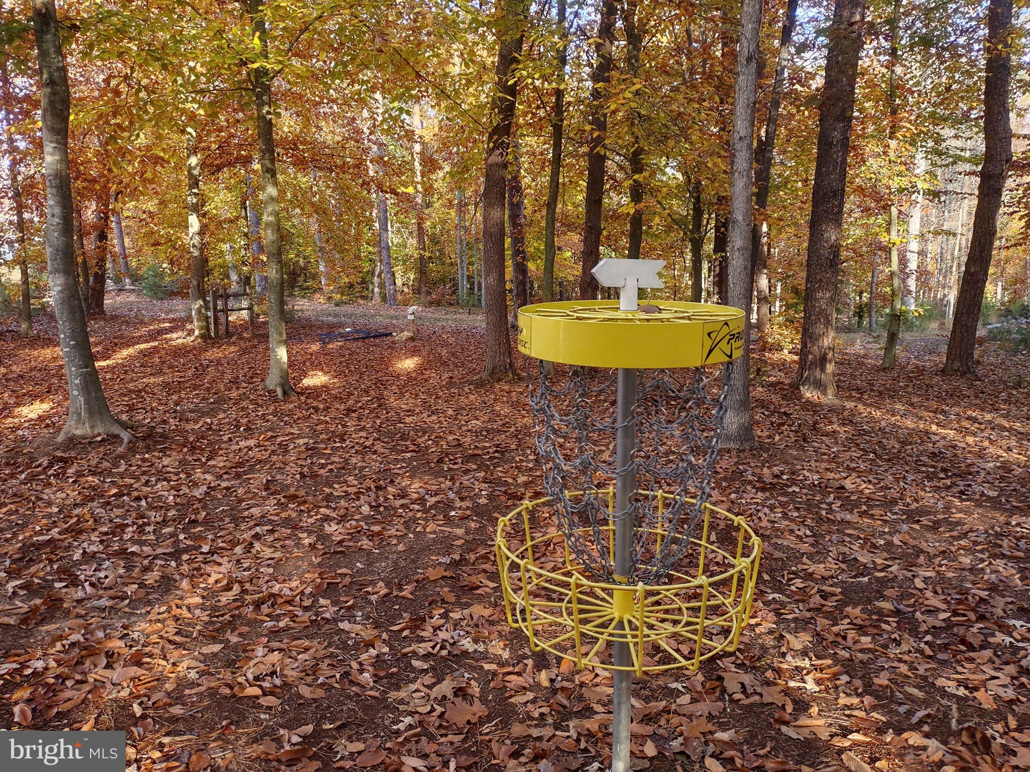 739 Sunset Loop Mineral, VA 23117 - Photo 48 of 56